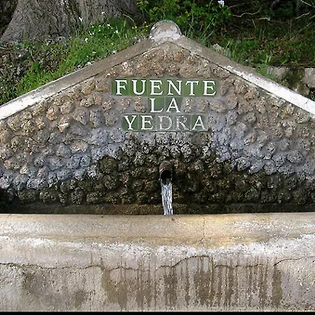 La Yedra
